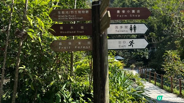 【香港好去處】 嘉道理農場｜睇花睇紅葉睇動物｜園內有多條行山路線選擇