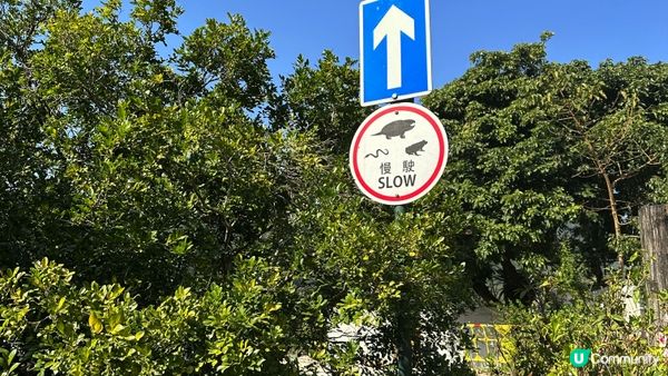 【香港好去處】 嘉道理農場｜睇花睇紅葉睇動物｜園內有多條行山路線選擇