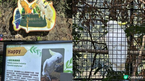 【香港好去處】 嘉道理農場｜睇花睇紅葉睇動物｜園內有多條行山路線選擇