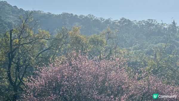 【香港好去處】 嘉道理農場｜睇花睇紅葉睇動物｜園內有多條行山路線選擇