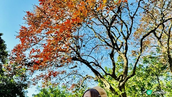 【香港好去處】 嘉道理農場｜睇花睇紅葉睇動物｜園內有多條行山路線選擇