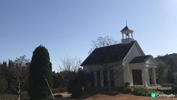 【首駕關西】 日本和歌山白濱京都宇治5天自駕遊 Day 2（千疊敷、三段壁、梅子工場、とれとれ Tore Tore市場、白濱沙灘、円月島日落、白濱免稅店購物、白濱海邊Mos Burger）