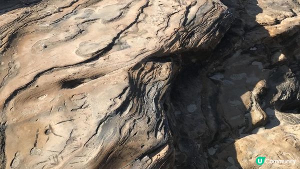 【首駕關西】 日本和歌山白濱京都宇治5天自駕遊 Day 2（千疊敷、三段壁、梅子工場、とれとれ Tore Tore市場、白濱沙灘、円月島日落、白濱免稅店購物、白濱海邊Mos Burger）