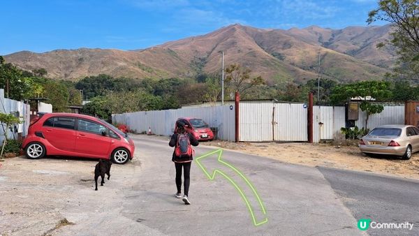 《錦田大江埔至新田行山篇》大羅天、羅天頂、龍潭山、牛潭山、小