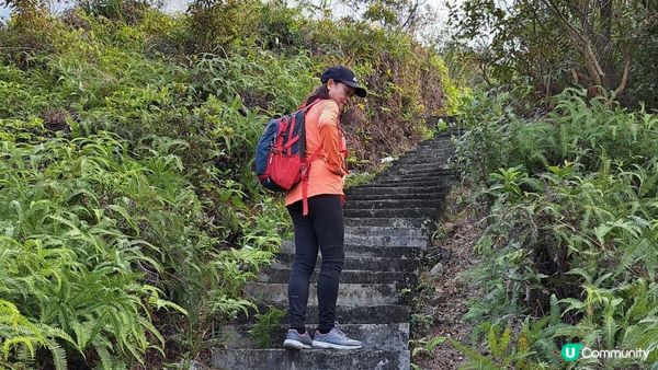 《錦田大江埔至新田行山篇》大羅天、羅天頂、龍潭山、牛潭山、小