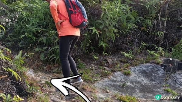 《錦田大江埔至新田行山篇》大羅天、羅天頂、龍潭山、牛潭山、小