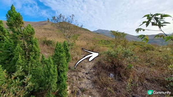 《錦田大江埔至新田行山篇》大羅天、羅天頂、龍潭山、牛潭山、小