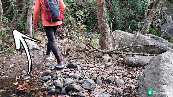 《錦田大江埔至新田行山篇》大羅天、羅天頂、龍潭山、牛潭山、小