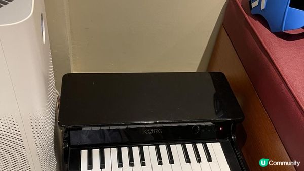 🏰香港迪士尼樂園酒店🏨親子玩樂懶人包10大必玩攻略