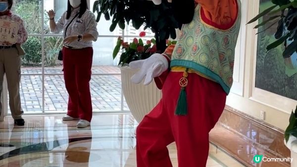 🏰香港迪士尼樂園酒店🏨親子玩樂懶人包10大必玩攻略