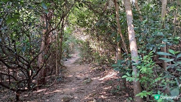 《清水灣道大坳門至布袋澳行山篇》釣魚翁、釣魚翁郊遊徑、大赤沙