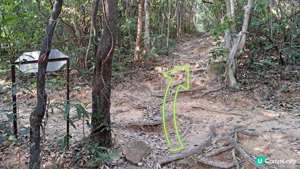 《清水灣道大坳門至布袋澳行山篇》釣魚翁、釣魚翁郊遊徑、大赤沙