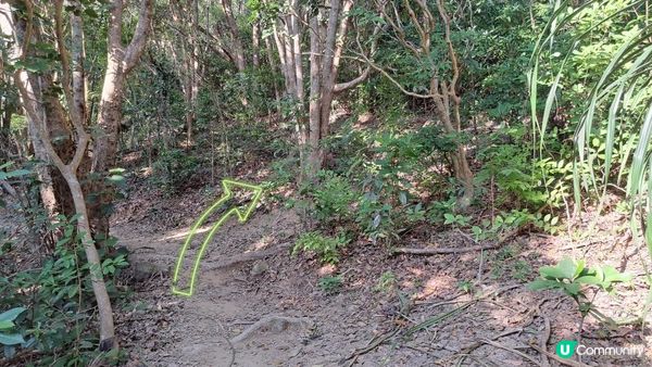 《清水灣道大坳門至布袋澳行山篇》釣魚翁、釣魚翁郊遊徑、大赤沙