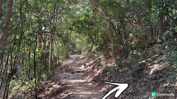 《清水灣道大坳門至布袋澳行山篇》釣魚翁、釣魚翁郊遊徑、大赤沙