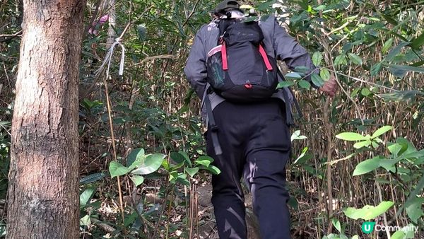 《清水灣道大坳門至布袋澳行山篇》釣魚翁、釣魚翁郊遊徑、大赤沙