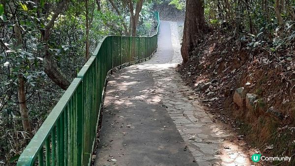 【大埔梧桐寨村至荃錦公路川龍村行山篇】梧桐寨瀑布(井底瀑/中