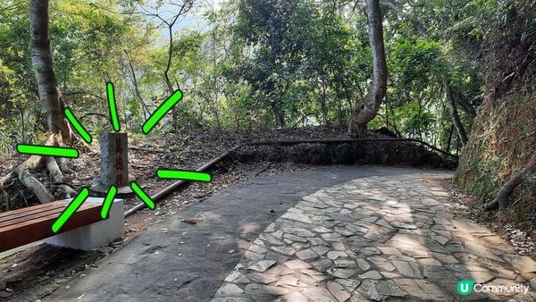 【大埔梧桐寨村至荃錦公路川龍村行山篇】梧桐寨瀑布(井底瀑/中