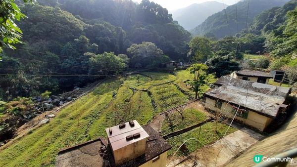 【大埔梧桐寨村至荃錦公路川龍村行山篇】梧桐寨瀑布(井底瀑/中