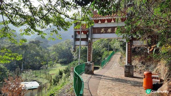 【大埔梧桐寨村至荃錦公路川龍村行山篇】梧桐寨瀑布(井底瀑/中