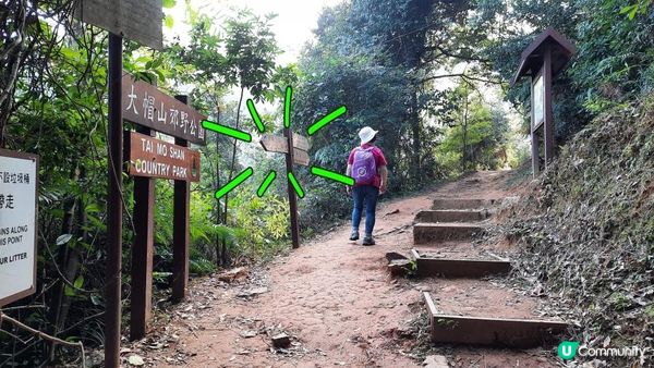 【大埔梧桐寨村至荃錦公路川龍村行山篇】梧桐寨瀑布(井底瀑/中