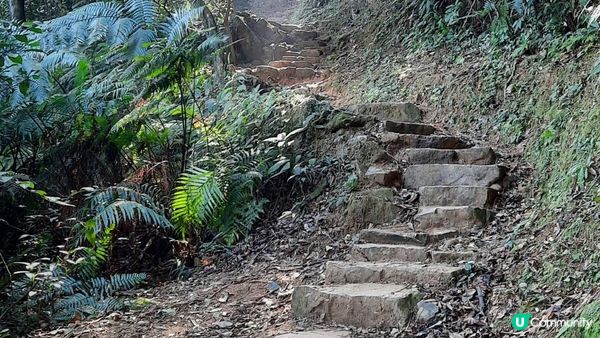 【大埔梧桐寨村至荃錦公路川龍村行山篇】梧桐寨瀑布(井底瀑/中