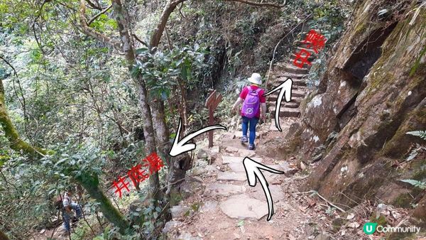 【大埔梧桐寨村至荃錦公路川龍村行山篇】梧桐寨瀑布(井底瀑/中