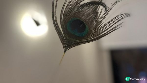 【台式採耳】TAO掏館｜專業採耳及耳燭服務真實體驗分享