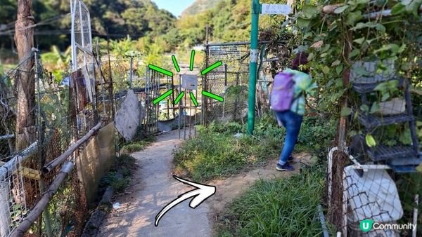 《井欄樹至小瀝源黃泥頭行山篇》黃麖仔、大藍湖、東洋山、兔仔許