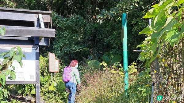 《井欄樹至小瀝源黃泥頭行山篇》黃麖仔、大藍湖、東洋山、兔仔許