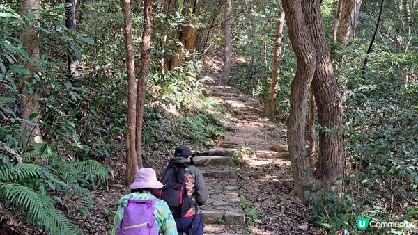 《井欄樹至小瀝源黃泥頭行山篇》黃麖仔、大藍湖、東洋山、兔仔許