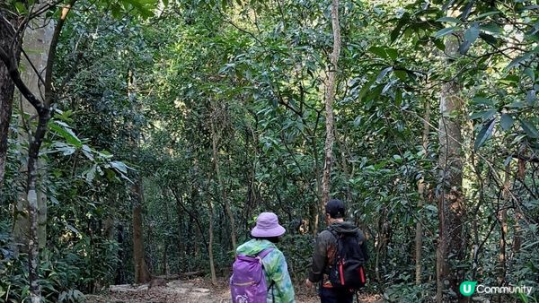 《井欄樹至小瀝源黃泥頭行山篇》黃麖仔、大藍湖、東洋山、兔仔許