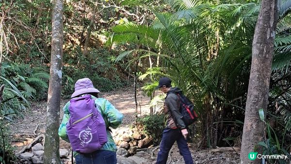 《井欄樹至小瀝源黃泥頭行山篇》黃麖仔、大藍湖、東洋山、兔仔許