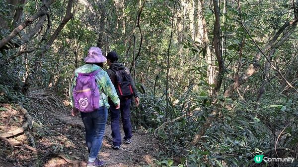 《井欄樹至小瀝源黃泥頭行山篇》黃麖仔、大藍湖、東洋山、兔仔許