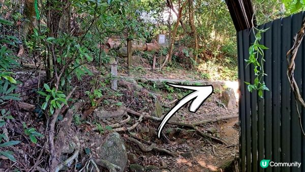 《井欄樹至小瀝源黃泥頭行山篇》黃麖仔、大藍湖、東洋山、兔仔許