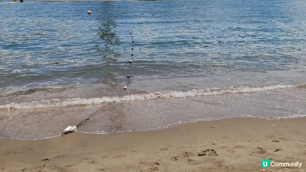 去汀九橋?度下便個海灘度玩，迪士尼樂園，海洋公園