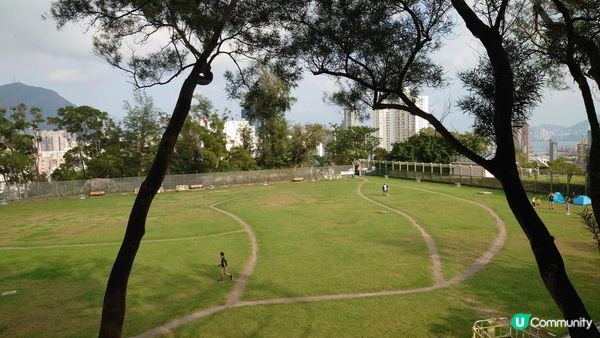 漫遊香港 - 市區簡易行山路線 樂富格仔山