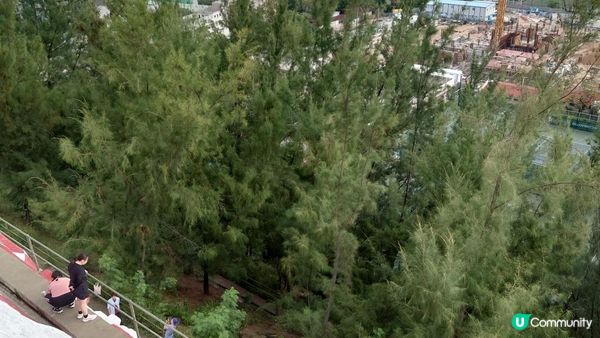 漫遊香港 - 市區簡易行山路線 樂富格仔山