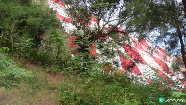 漫遊香港 - 市區簡易行山路線 樂富格仔山