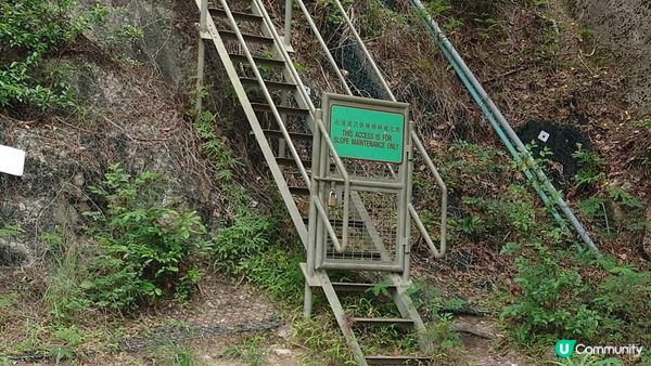 漫遊香港 - 市區簡易行山路線 樂富格仔山