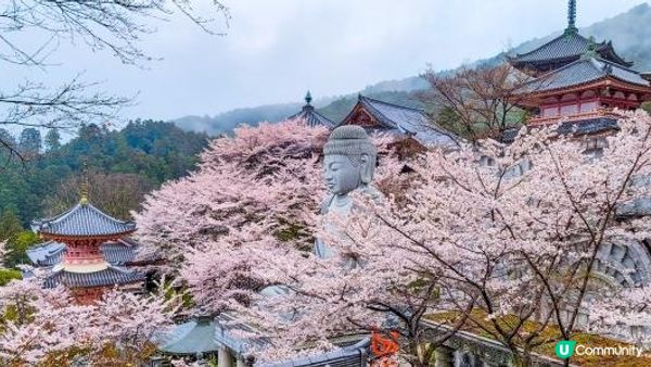 奈良壺阪寺