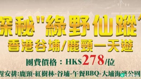 遇見香港最原始的角落 - 鹿頸探秘