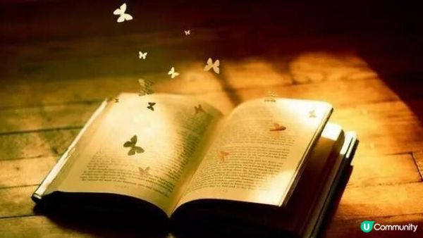 往往不只是教育問題