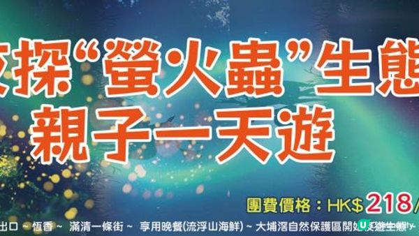 夜晚的星星“螢火蟲”