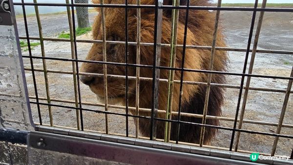 由布院酒店房內個私人溫泉好舒服，可以係房內靜靜地浸。個牛肉飯...