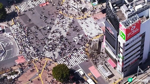 Shibuya sky澀谷街道 櫻花季節