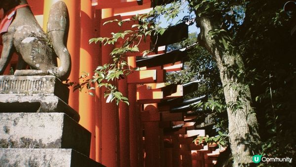 伏見稻荷大社擁有漂亮的鳥居，有不少告示牌詮釋了日本歷史，在此...