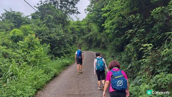 天然溪水浴池👙💦小瀑布打卡📸超爽🥳《東涌黃龍石澗》