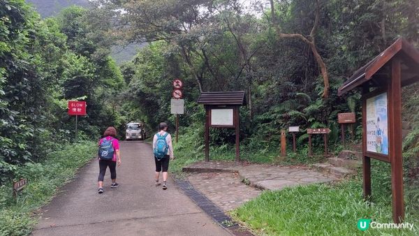 天然溪水浴池👙💦小瀑布打卡📸超爽🥳《東涌黃龍石澗》