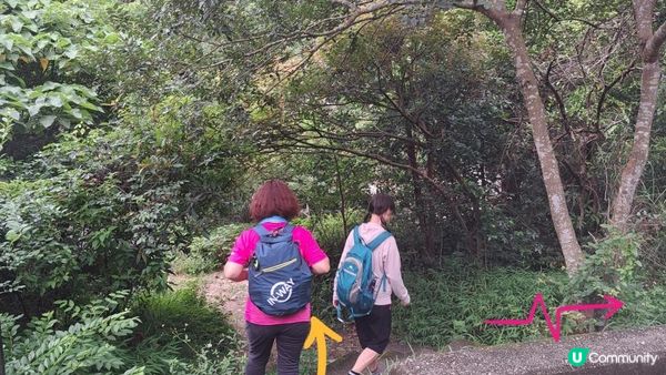 天然溪水浴池👙💦小瀑布打卡📸超爽🥳《東涌黃龍石澗》