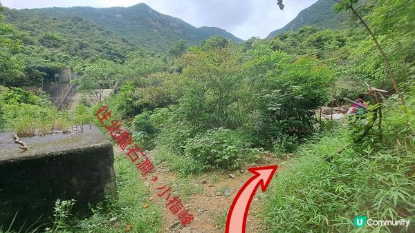 天然溪水浴池👙💦小瀑布打卡📸超爽🥳《東涌黃龍石澗》